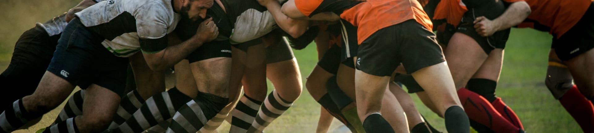 olga-guryanova-ft7vJxwl2RY-unsplash