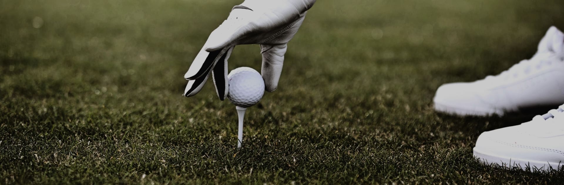 shutterstock_547113298_fix